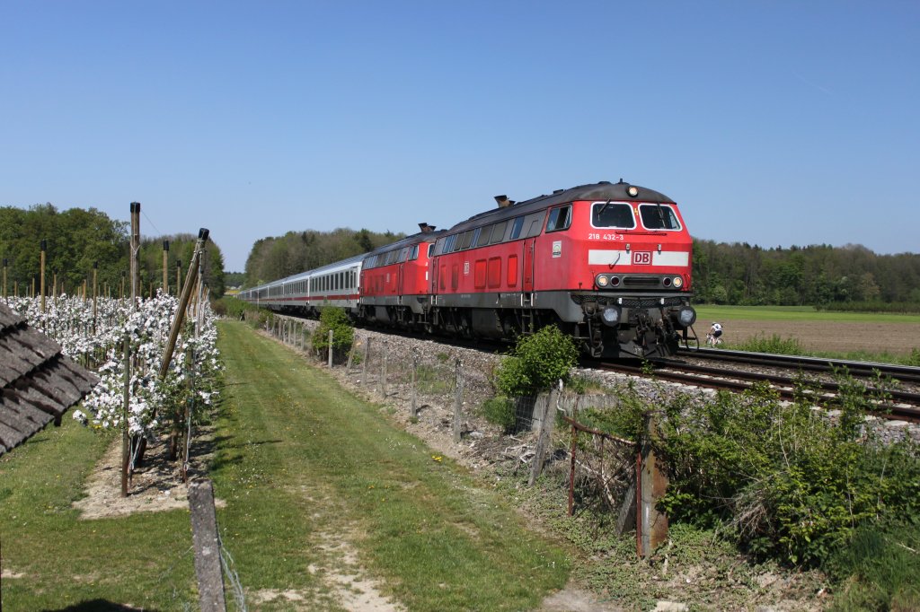 IC 119 von Mnster (Westf.) Hbf nach Insbruck fhrt auf dem Abschnitt
Ulm - Friedrichshafen Stadt und Lindau mit einer Doppeltraktion 218, an der Spitze fhrt hier 218-432-3. Mit einer weiteren 218 erreicht der Zug in krze Meckenbeuren (22.04.2011)