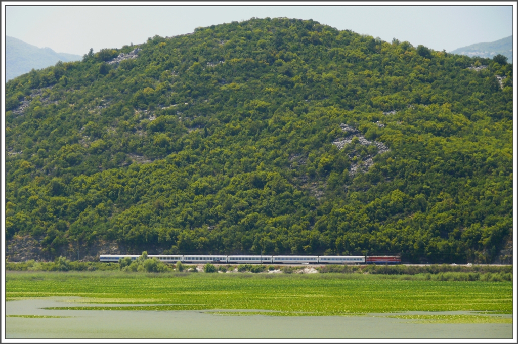 IC432 von Bar nach Beograd kommt fr mich fast zu pnktlich am Skutarisee entlang gefahren. (08.08.2010)