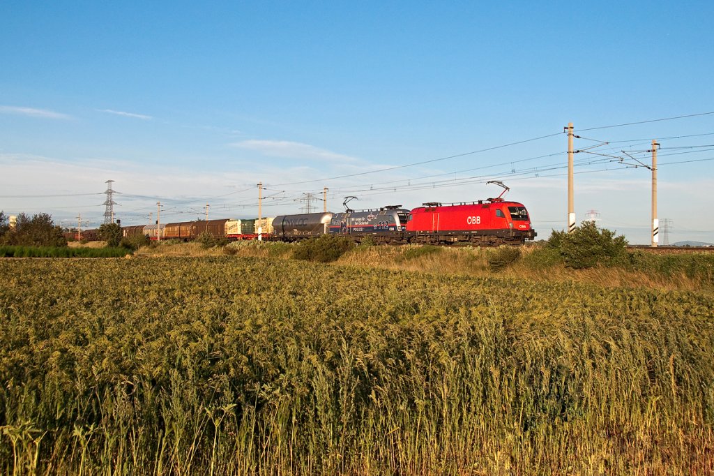Im Abendlicht des 20.07.2011 konnte dieser Gterzug an der Nordbahn zwischen Deutsch Wagram und Senbrunn abgelichtet werden. Leider befand sich die 1116 250 nur an zweiter Stelle.