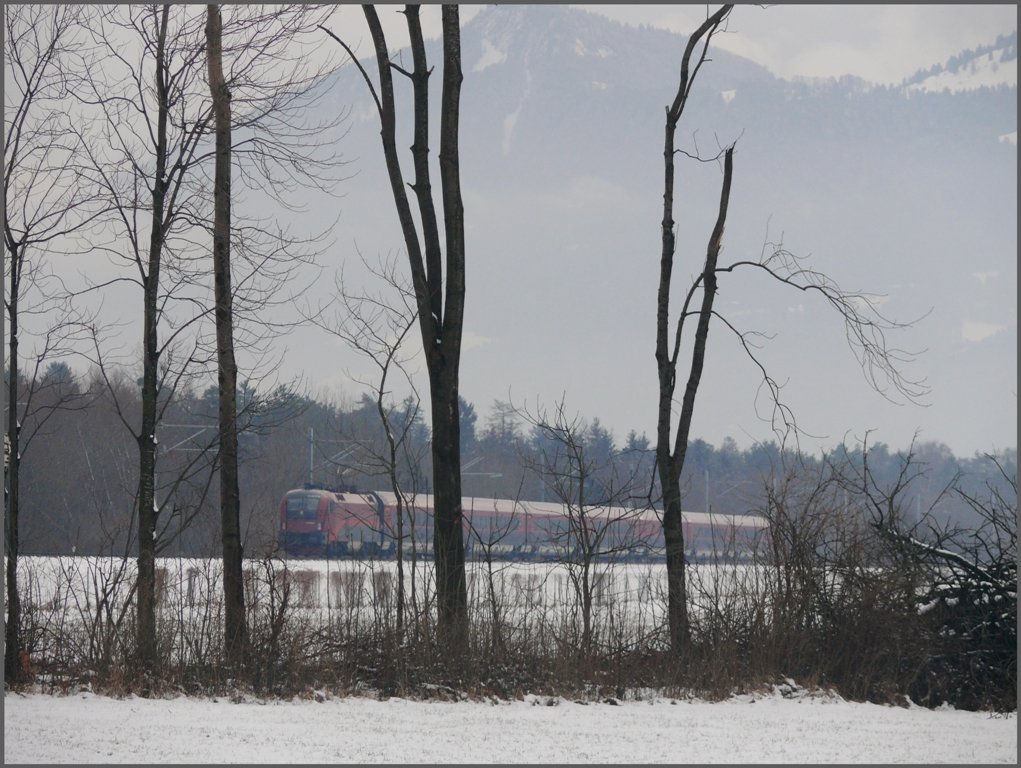 Im dmmsten Moment und mit 15 Minuten Versptung kommt der RJ160 nach Zrich HB doch noch an mir vorbeigerauscht. (21.01.2010)