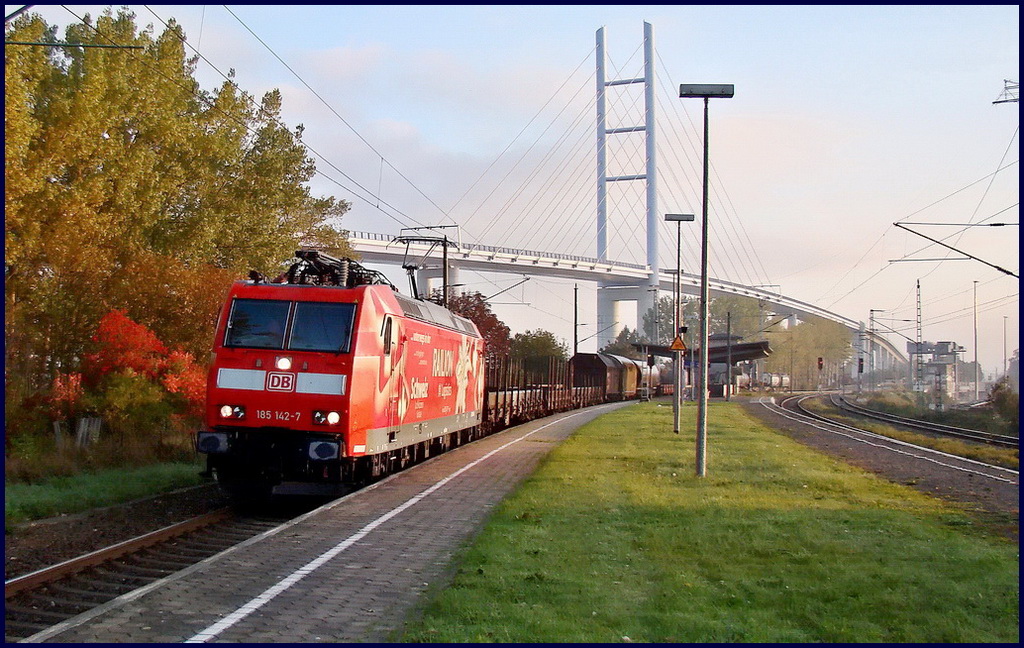 Im ersten Morgenlicht - 185 142-7 -Schweiz- vor 53201 aus Mukran, durchfhrt den Bhf Stralsund Rgendamm.  am 13.10.10