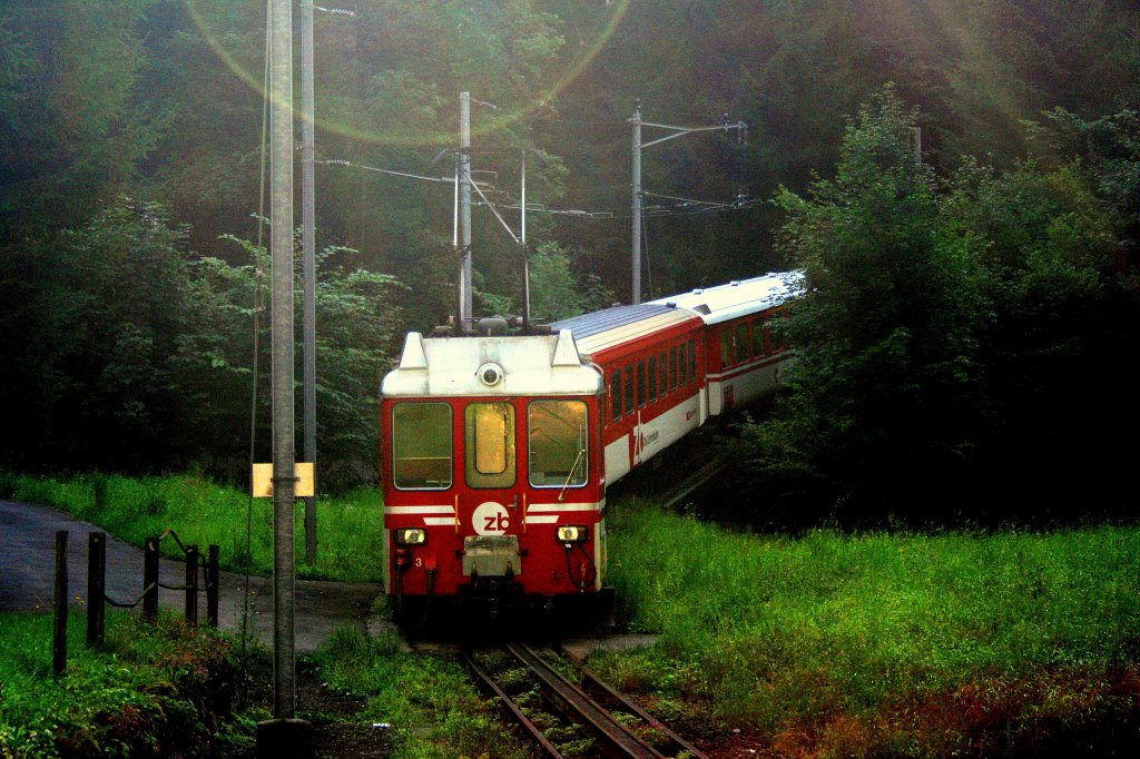 Im ersten Morgenlicht nimmt ein dreiteiliger Pendelzug mit dem BDeh 4/4 3 in Obermatt die Steilrampe nach Engelberg in Angriff. Aufnahme 21.8.2010.  