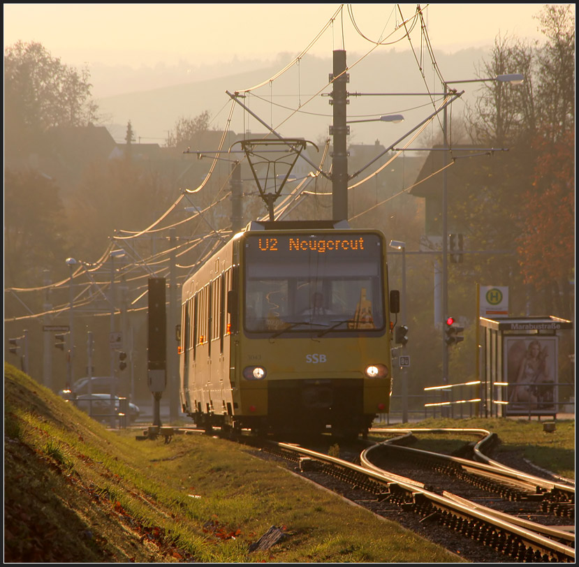 Im Gegenlicht - 

Ein Zug der Stuttgarter Stadtbahnlinie U2 kurz vor der Endhaltestelle Neugereut. 

23.11.2011 (M)