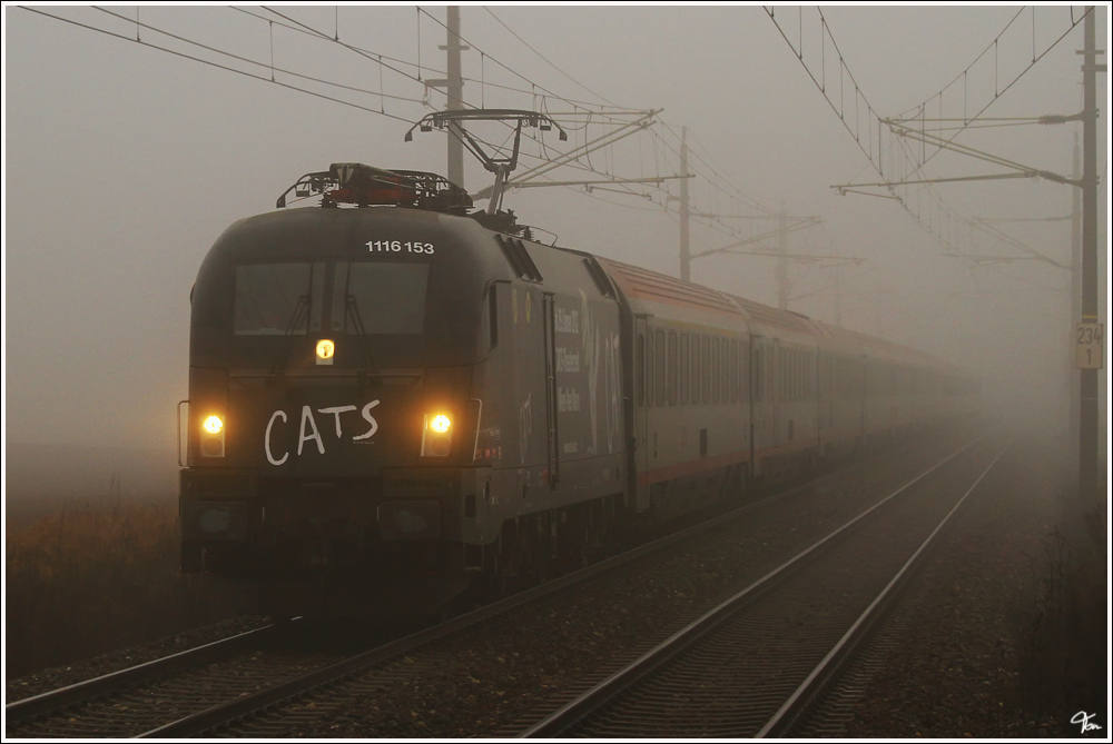 Im Morgengrauen fhrt 1116 153  CATS  mit EC 731  Kelag Energie Express  von Wien Meidling nach Villach. 
Zeltweg 4.12.2011