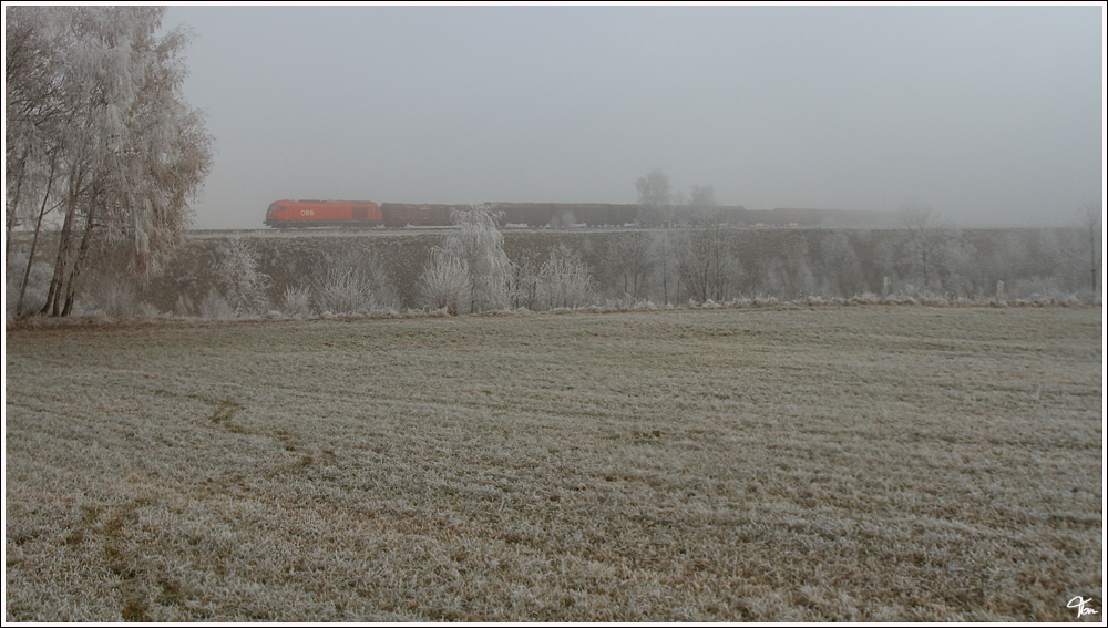 Im Morgennebel fhrt eine 2016 mit diesem Kurzholzzug von St.Michael nach Pls.  Allerheiligen 25.11.2011