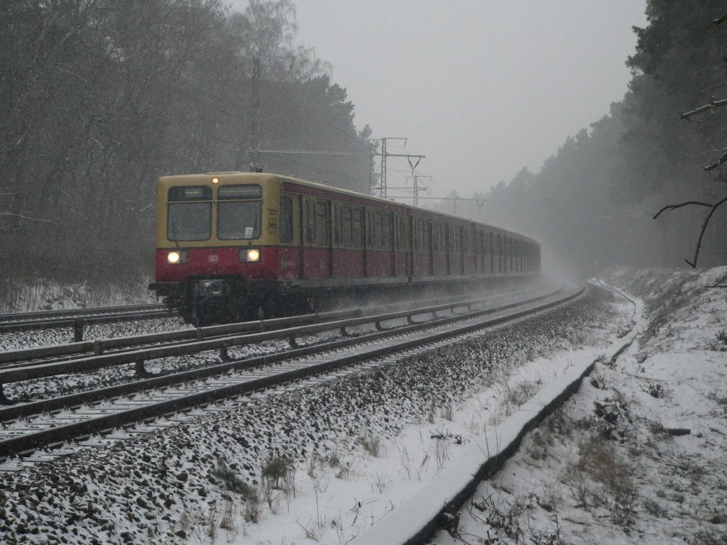 Im Schneegestöber kämpft sich diese S-Bahn der BR 485 in Richtung Erkner durch. 23.12.2012, zwischen Rahnsdorf und Wilhelmshagen