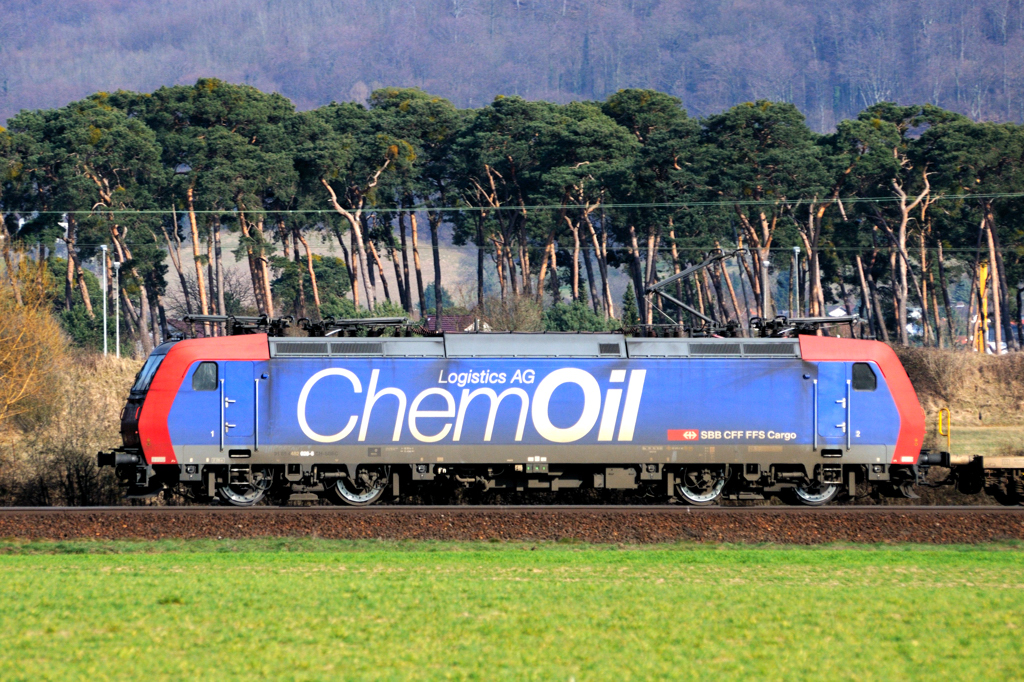 Im schnsten Abendlicht: Lokportrait von Re 482 028-8 vor einer KLV-Leergarnitur bei Bickenbach/Bergstrasse. (22.03.2011)