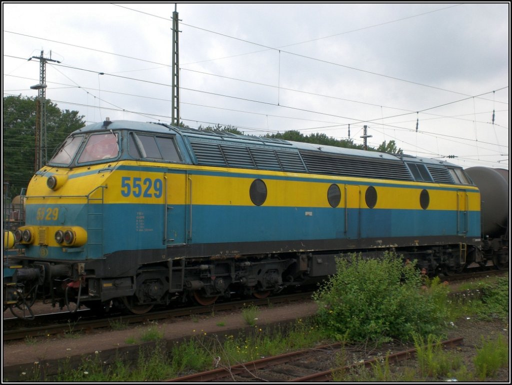 Im Sommer 2007 konnte man die belgischen Brummer noch in Aachen West bestaunen.
Hier ein Exemplar in der gelb blau Variante,die SNCB 5529 bildlich festgehalten
und der Nachwelt erhalten*. Da das Gestrpp leider die Achse verdeckt,lasse ich das
Foto mal unter Stimmungsbild (Belgien) laufen. 