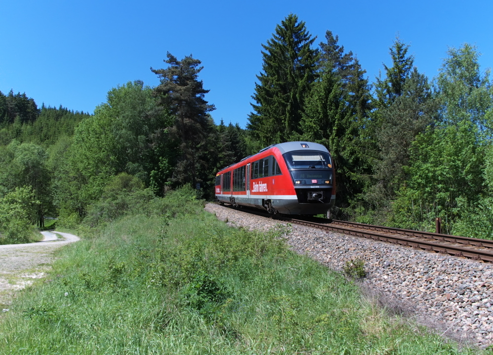 Im Thringer Schiefergebirge - 
Heute fahren die Personenzge von Saalfeld ber Hockeroda - Wurzbach - Unterlemnitz - (Bad) Lobenstein nach Blankenstein.

Von 211m Hhe bei Saalfeld klettert die Sormitztalbahn auf 531 Meter in Unterlemnitz. In Blankenstein sind es noch 435 Meter. Interessant ist, dass Saalfeld und Blankenstein an der Saale liegen.

Frher gingen die Hauptverkehre ber die Relation Triptis - Ziegenrck - Unterlemnitz - Lobenstein - Blankenstein und ganz frher bis Marxgrn in Bayern durch das Hllental.

642 009 hat Lobenstein verlassen und fhrt durch dichte Wlder in Richtung Blankenstein. Hier in Hhe des ehemaligen Bahnhofs Lobenstein Sd.

KBS 557 am 25 Mai 2012

Die rote Farbe der Zge wird nach dem Fahrplanwechsel am 10.06.2012 durch das Wei - Grn der Erfurter Bahn ersetzt.