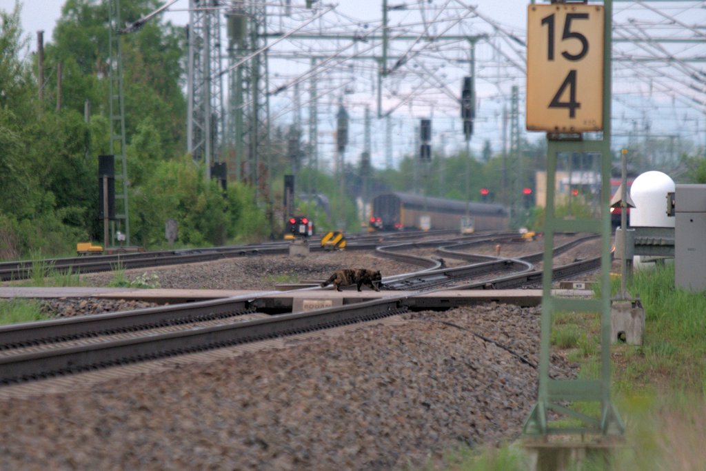 Immer schn den gesicherten B benutzen! (Mnchen-Feldmoching am 05.05.12)