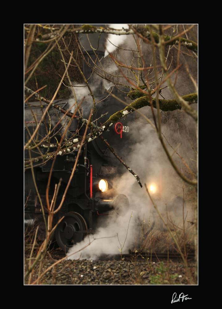 Impression der Dampflok 93.1420
Mitterbach 15.4.2012