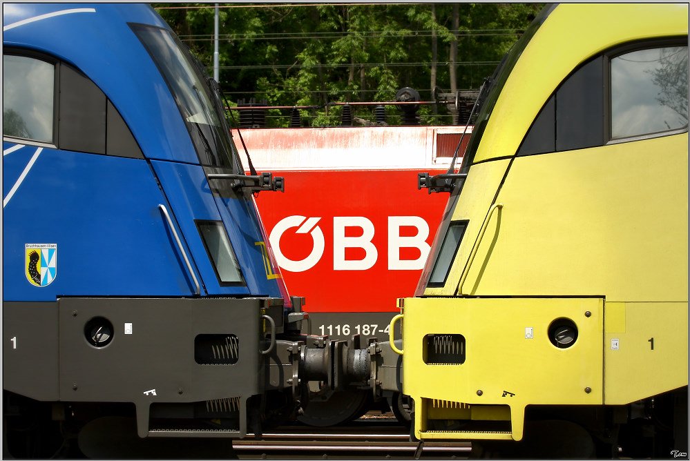 Impression der Loks, MWB 1116 911, BB 1116 187 und MWB Dispolok ES64U2 014 im Bahnhof Leoben.
25.05.2008