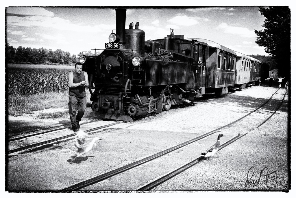 Impression vom Stainzer Flascherlzug in der Haltestelle Kraubath.
11.6.2011