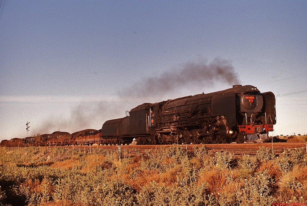 In der Abendsonne rollt 25NC  Hester  nach Modderriver hinunter. An diesem Novembersonntag 1976 verkehrten auf der Strecke von Kimberley nach De Aar bzw. umgekehrt zwischen ca. 10.00 und 19.00 Uhr mehr als 25 dampfbespannte Güterzüge.