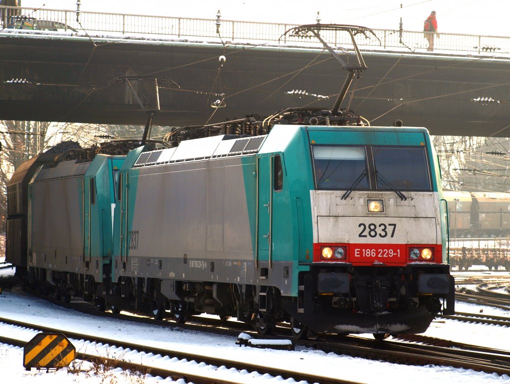 In Doppeltraktion kommen die Cobras 186 229-1 und 186 210 am 06.01.2010 mit einem schweren Kohlenzug die letzten Meter der Montzenroute von Belgien in Aachen West an.