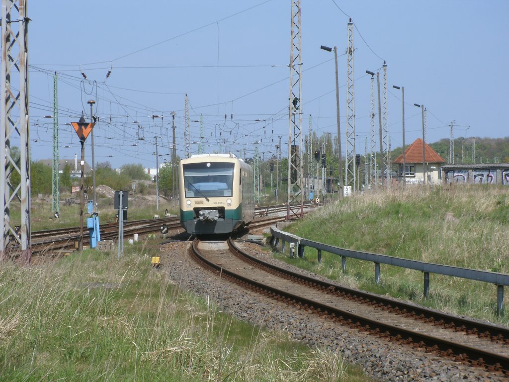 In einem Bogen verlt der PRESS VT650 032 am 06.Mai 2011 den Bahnhof Bergen/Rgen nach Lauterbach Mole.