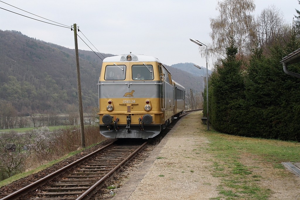 In goldenem Neulack zeigt sich die 2043.24 der NVOG am ersten Betriebstag 2012 der Wachau-Bahn mit dem R16951 in der Hst. Willendorf i.d. Wachau am 31.Mrz 2012.