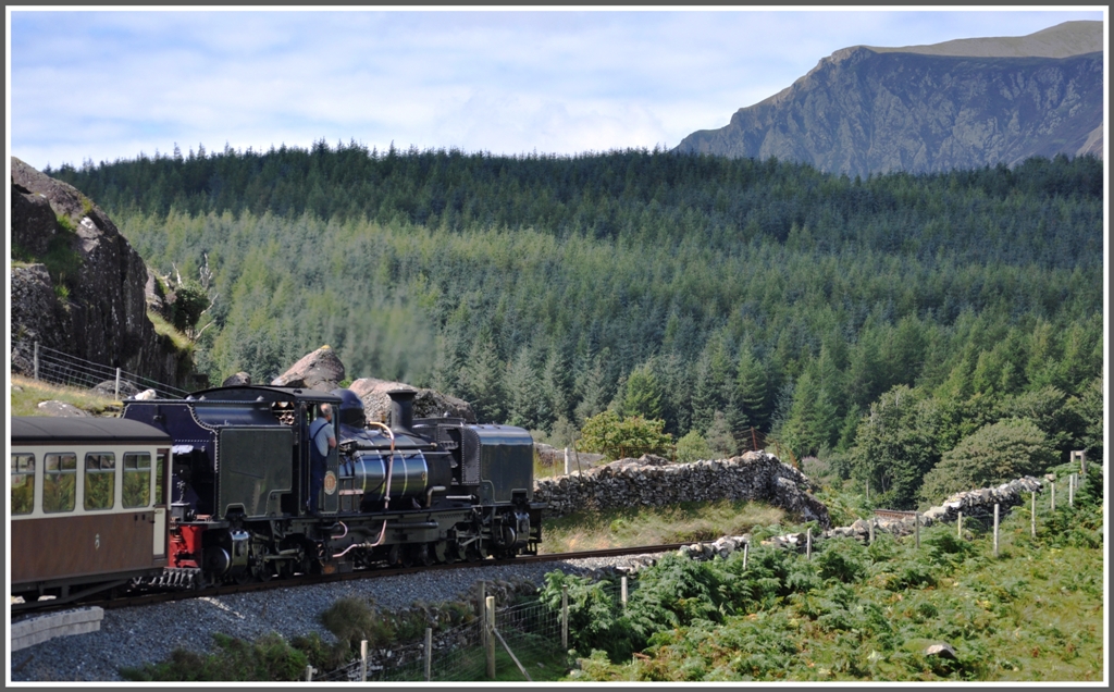 In den hheren Lagen der Strecke weichen die Weiden ausgedehnten Tannenwldern. (14.08.2011)