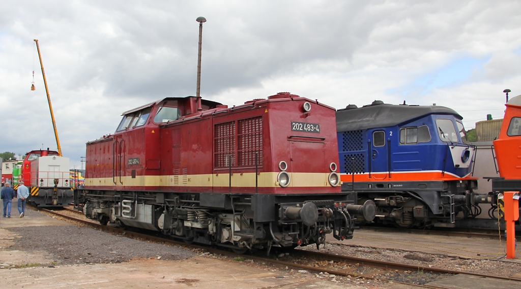 In der Kleindiesel-Reihe stand ganz vorn die 202 483-4. Aufgenommen am 23.07.2011 am Tag der offenen Tr bei Uwe Adam in Eisenach.