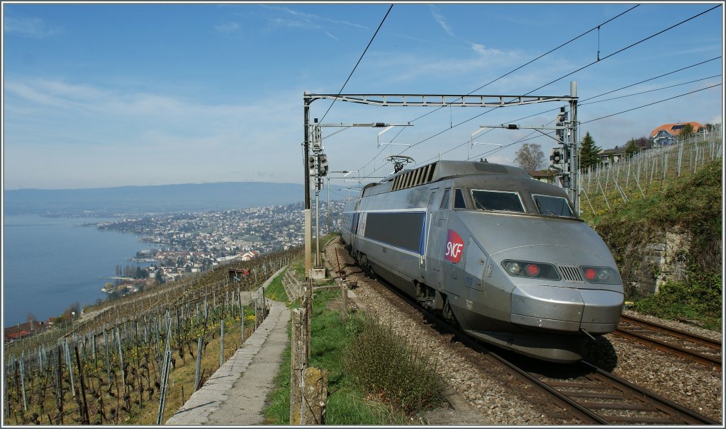 In Lausanne ist der TGV tglich zu Gast (ausgenommen die SNCF streikt), doch auf so hohem Niveau ber dem Lac Lman ist der TGV nur auf bergabefahrten zu sehen, wenn infolge Bauarbeiten der TGV Bern - Paris ausfllt.
Bei Grandvaux, den 1. April 2011