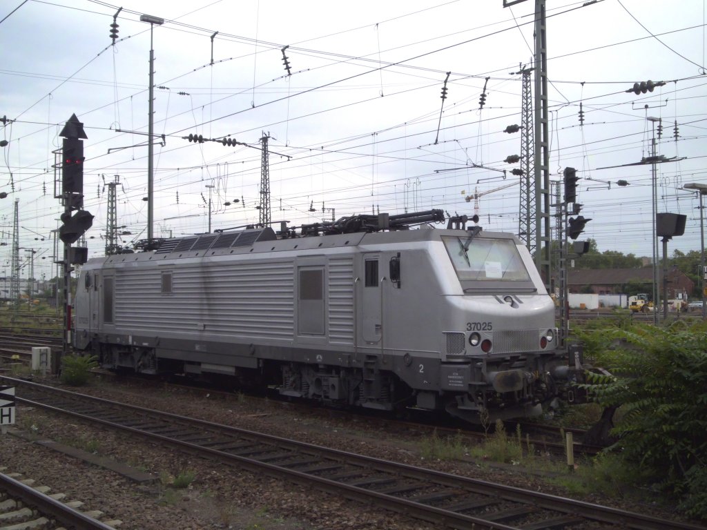 In Mannheim Hbf. am 16.09.2011 abgestellt, 37 025.