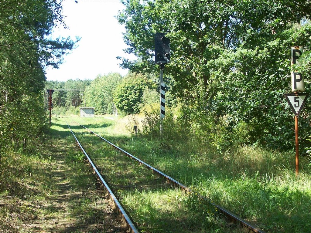 Industriebahn Eberswalde kurz vor dem Bahnbergang Coppistrae 31.08.2008
