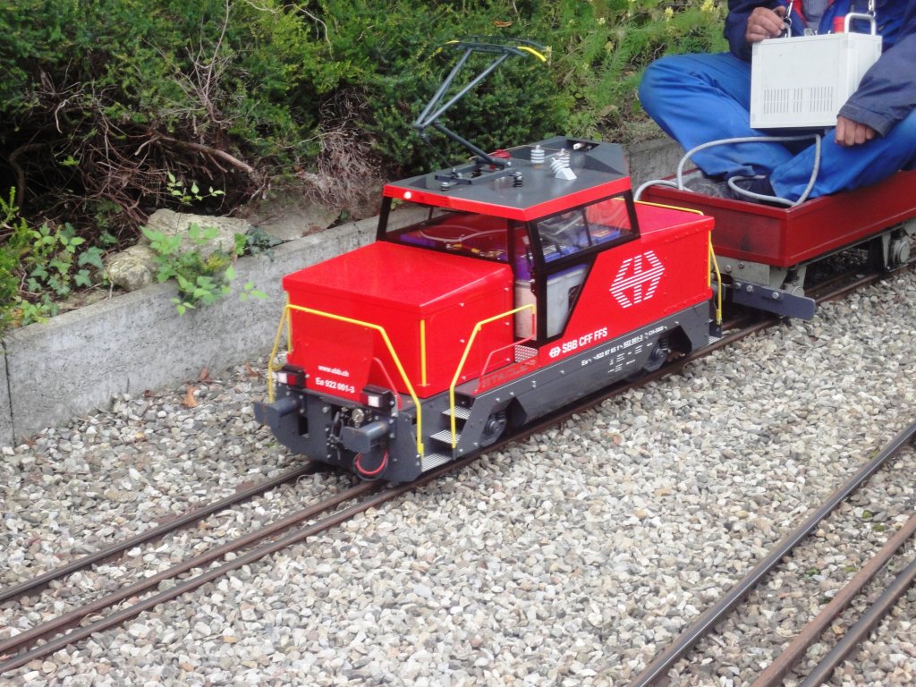 Int Dampftreffen Yse Bhnli am Rhy Schweizerhall