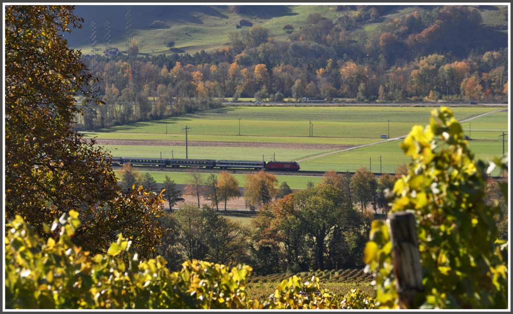 IR 1776 in der Bndner Herrschaft zwischen Landquart und Maienfeld. (28.10.2011)