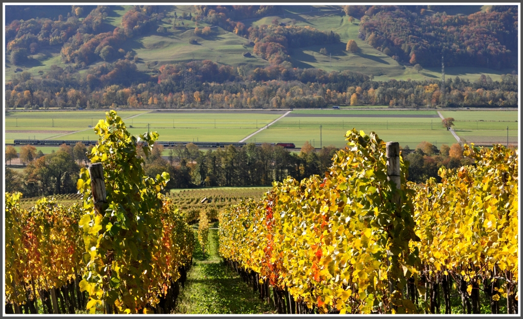 IR 1776 in der Bndner herrschaft zwischen Landquart und Maienfeld. (28.10.2011)