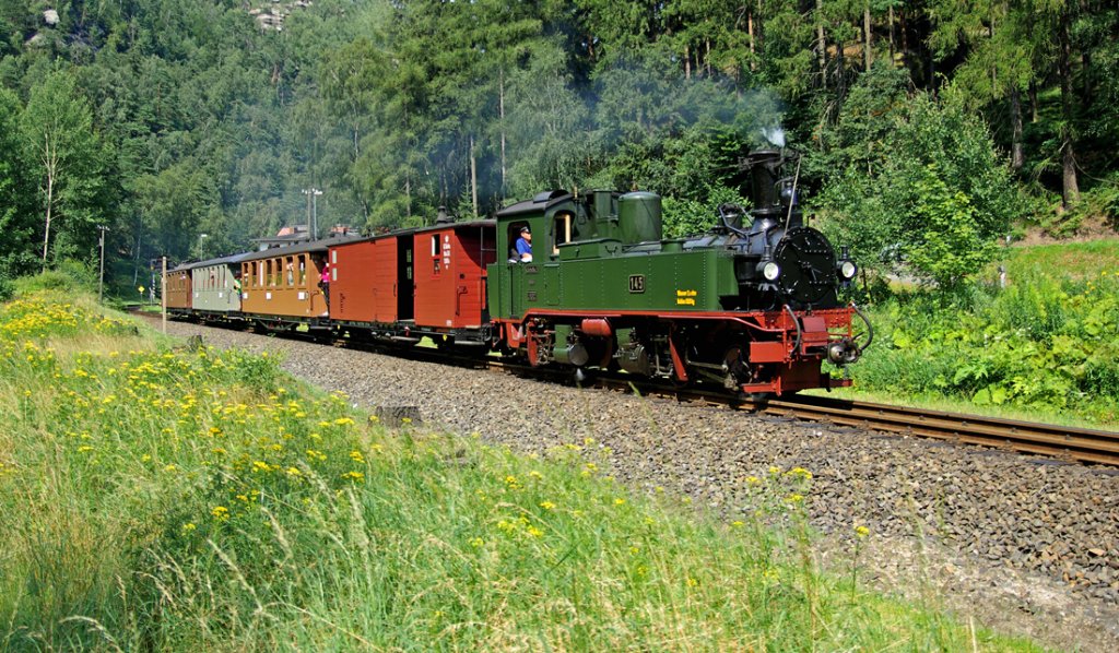 IVK Nr. 145 der Zittauer Schmalspurbahnen nimmt Anlauf fr die letzte Steigung vor dem Endbahnhof Oybin.
August 2009