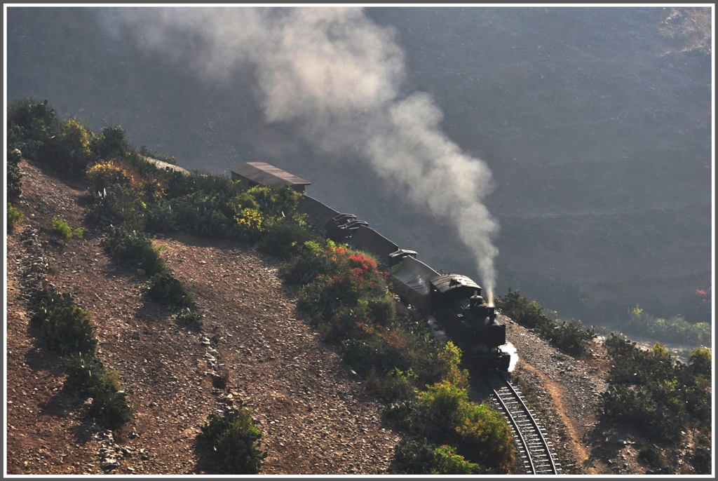 Kakteen schtzen die steinigen Terrassenfelder vor allzugrosser Erosion. Und dazwischen findet noch das Schmalspurtrassee der Bahn von Eritrea Platz. (31.01.2012)