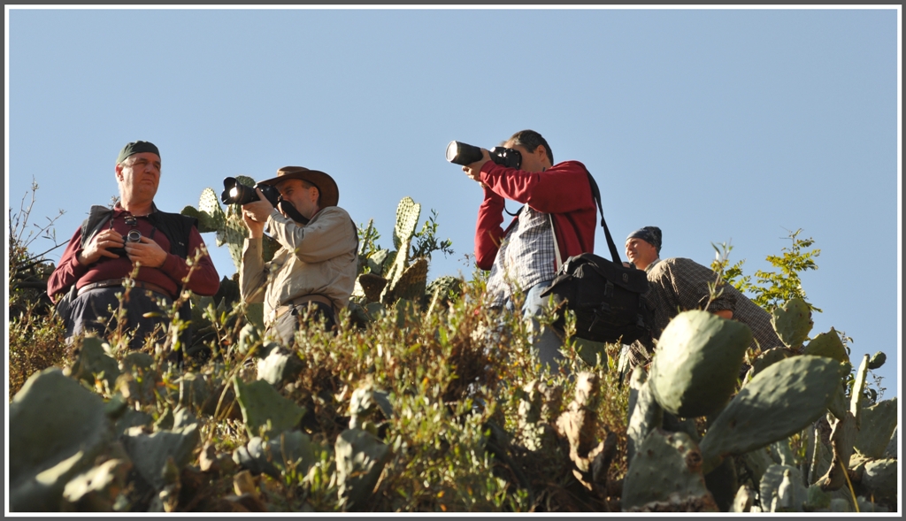 Kein Dornengestrpp kann die Railenthusiats aus Europa aufhalten. Shegerini (31.01.2012)