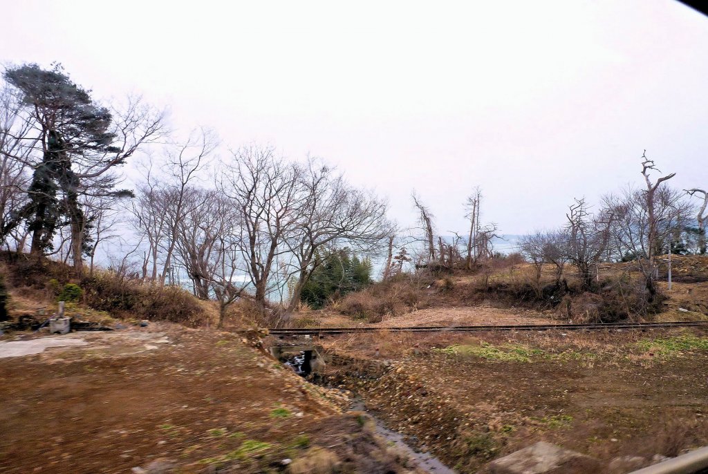 Kesennuma-Linie: Die Reste der Strecke, nachdem das Meer bis hier hinauf gewütet hat. Nicht weit von hier wurde ein Zug vom rasenden Meer in die Berge hinauf getragen, wo er mehrere Häuser zertrümmerte und als verbogener Schrotthaufen liegen blieb. Koganezawa, 15.Februar 2013. 