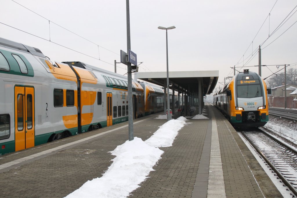 Kiss satt in Rathenow am 25.01.2013.Links 445 101 und 445 110(defekt),rechts 445 109 als RE 4 nach Ludwigsfelde.