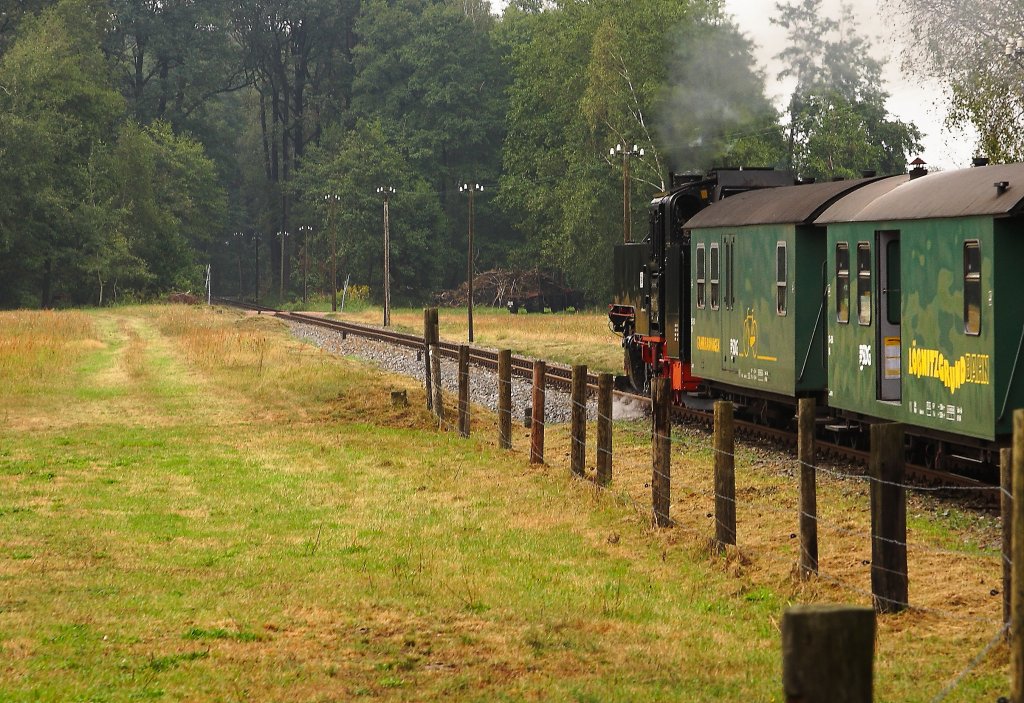 Kleinbahnromantik im Jahr 2012! 99 1777 befindet sich hier am 31.08.2012 mit ihrem Zug P3008 in Richtung Radeburg gerade zwischen Moritzburg und Berbisdorf.