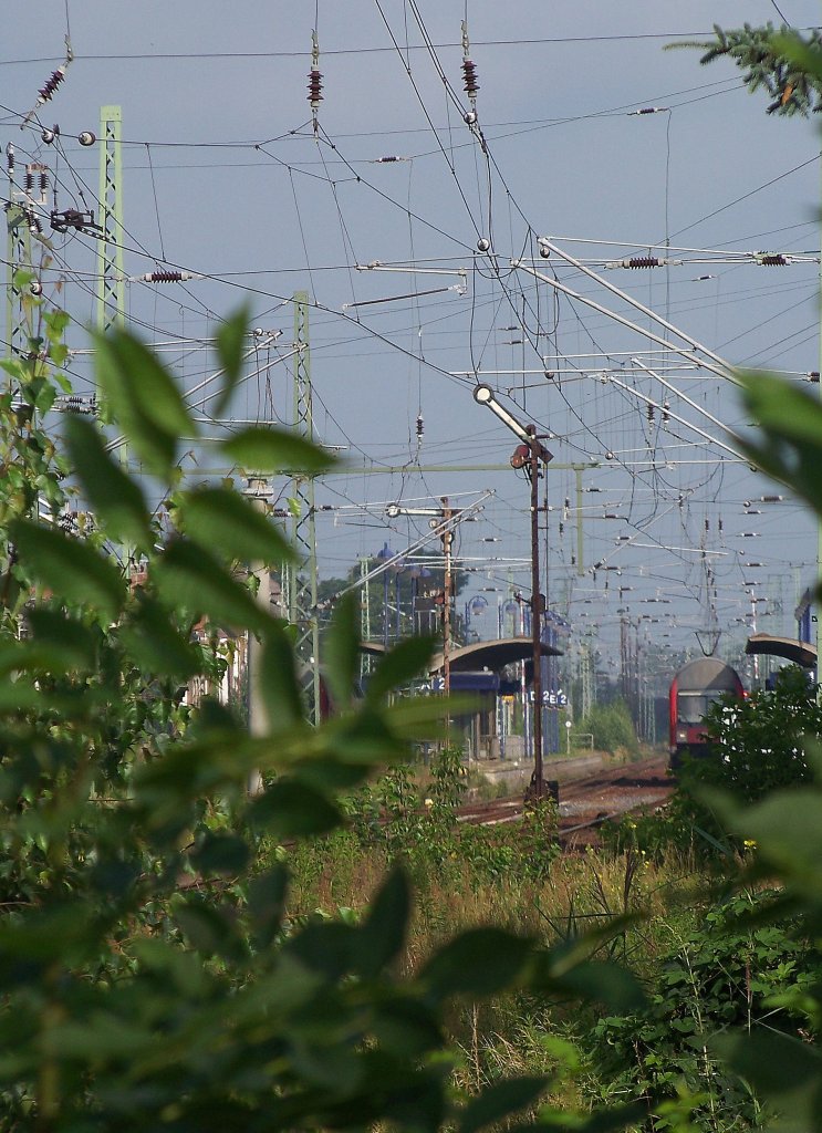 Kleine Spielerei am Rande. Lbbenau/Spreewald den 05.07.2009 