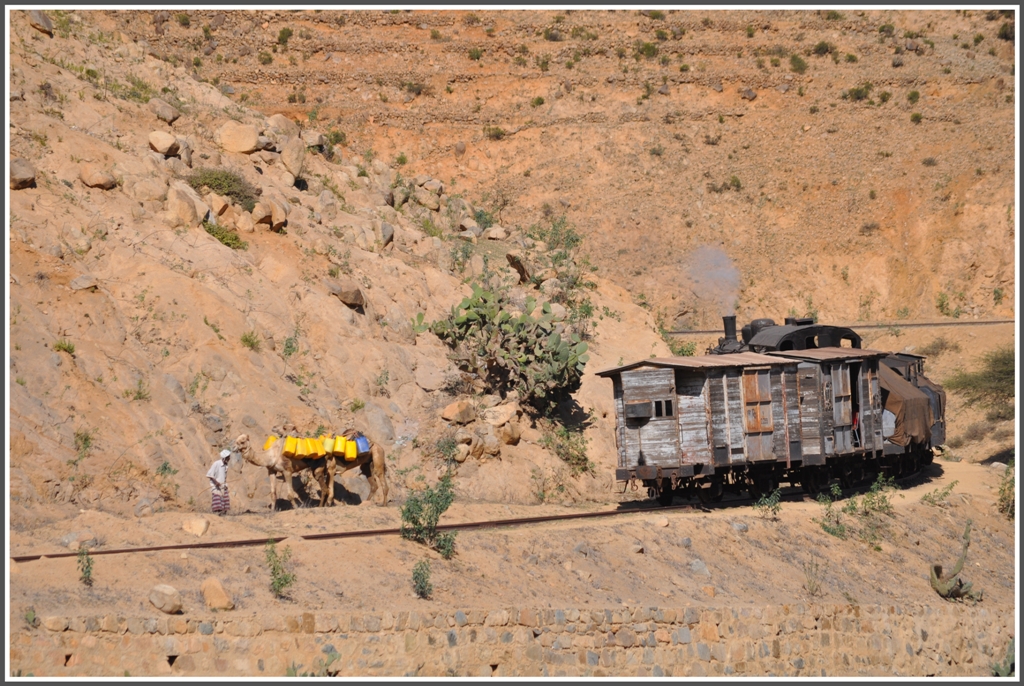 Kommt dann doch mal ein Zug, wird schnell Deckung gesucht. (01.02.2012)