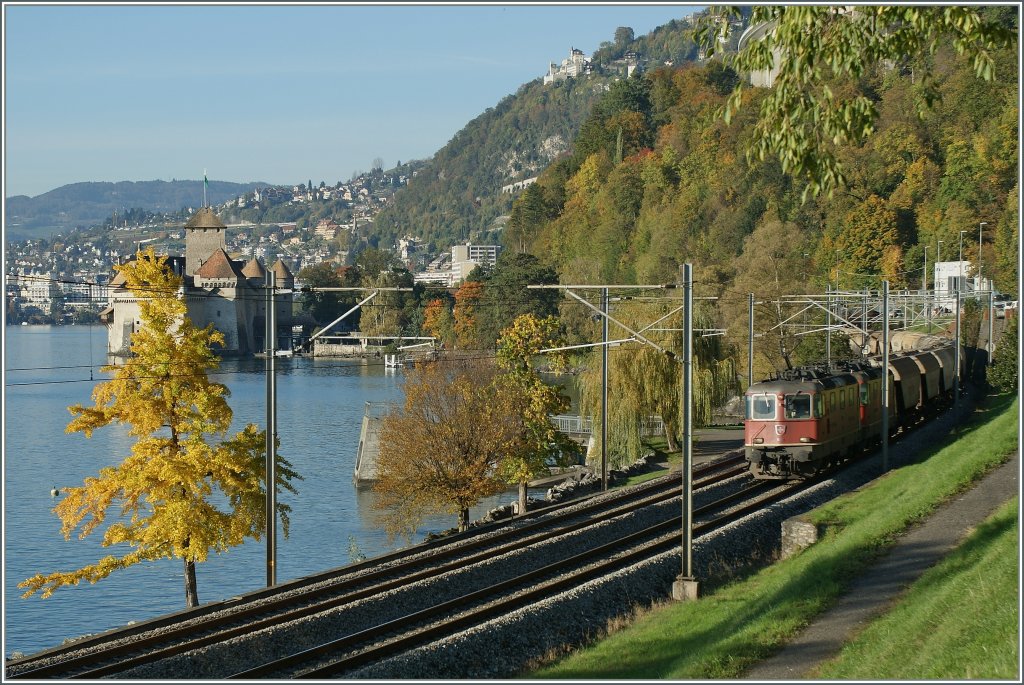 Kontrastreicher Herbst (I): Vom Sonnenlicht bunt beleuchtet strebt der von zwei Re 4/4 II gezogene  Spaghetti -Zug sdwrts.
Beim Chteau de Chillon, den 30. Okt. 2012