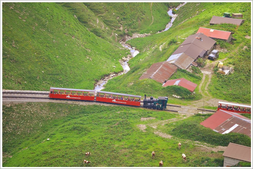 Kreuzung mit Dampflok 15 in Oberstaffel. (15.07.2013)