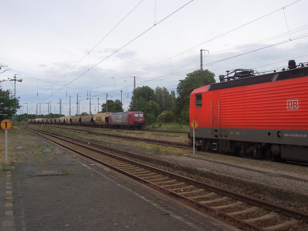 Krftemessen in der Abendsonne. 
145 gegen 143.
Wer wohl bei dem Duel der Generationen gewonnen htte, steht in den Sternen. 
Aufgenommen am 13.06.2011 in Lutherstadt Wittenberg (kurz LuWi)