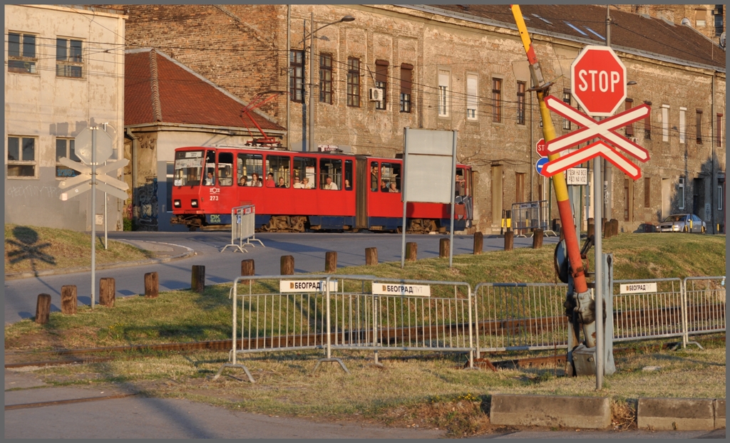 KT4 273 auf der Karadordeva Strasse. (03.07.2011)