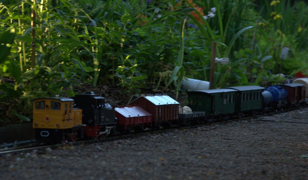 Kurz vor der kurvigen Steigung beschleunigen beide Maschinen , dank der Multimaus pro von Roco kein Problem, allerdings das schon abnehmende Licht.....
Den GMP abzulichten verlangt mehrere Versuche die alle nicht voll berzeugen.   20.05.2012   20:42 Uhr im Garten..   