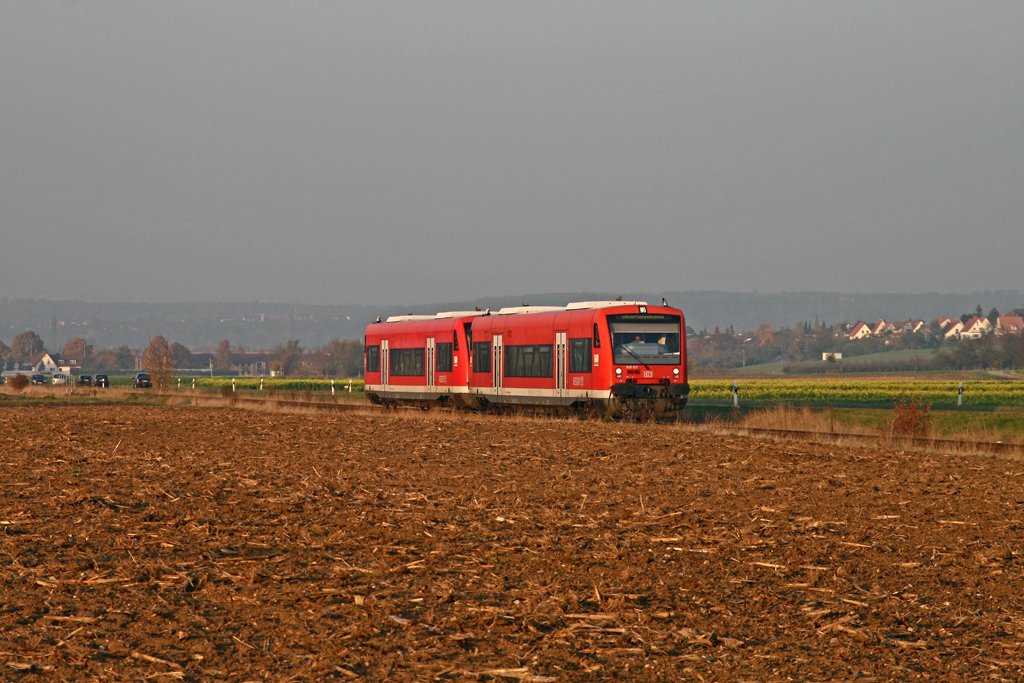Kurz vor Sonnenuntergang rollen 650 021 und 650 010 als Regionalbahn von Wendlingen (Neckar) nach Oberlenningen dem nchsten Halt in Owen entgegen. Die Aufnahme entstand an der lngsten Geraden der Teckbahn, zwischen Dettingen und Owen.