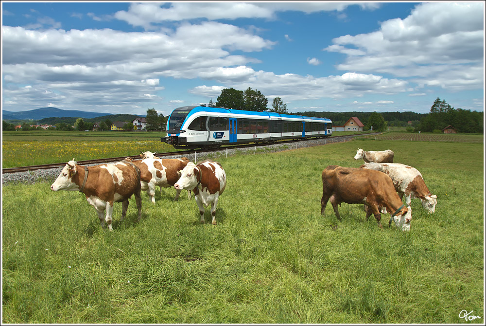 KUUUHL - GKB GTW 63.08  S-Bahn Steiermark  fhrt als Sonderzug auf der Sulmtalbahn von Wies-Eibiswald nach Gleinsttten und retour. 
Gleinsttten 17.5.2012