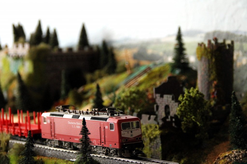 Lndliche Modellbahn Szene mit der 143 094-1 auf der Anlage. Foto 25.10.12