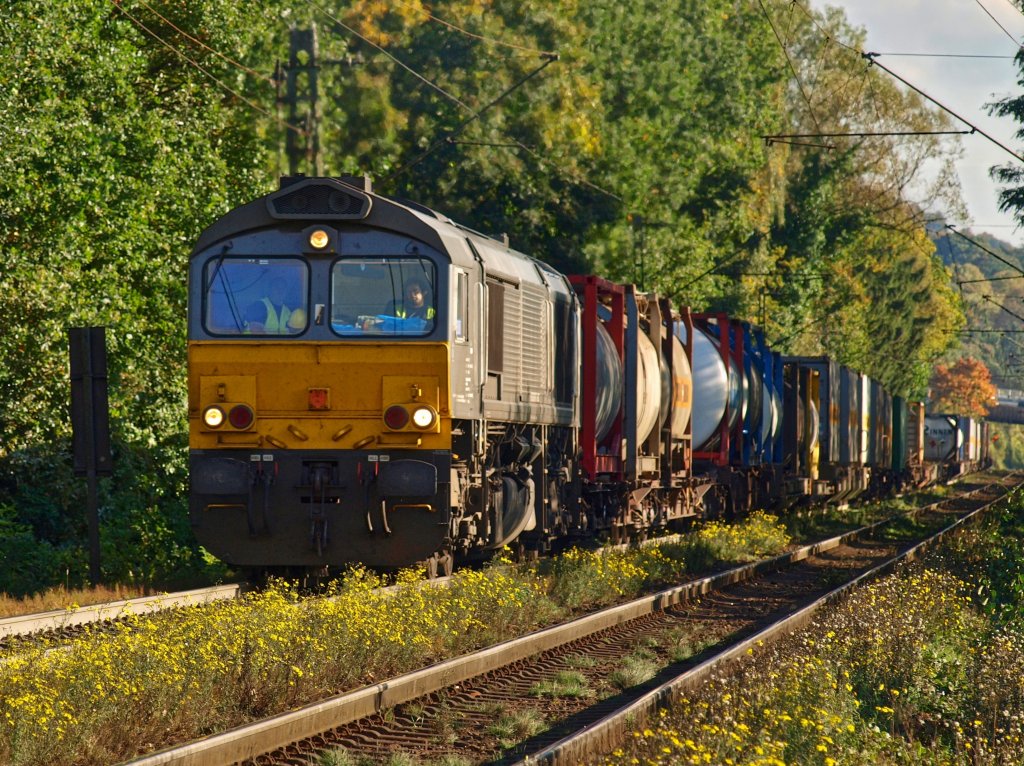 Langsam kommt am 05.10.2010 die Class66 DE6306 mit einem schweren Containerzug am Gemmenicher Weg die herbstlich bunte Rampe der Montzenroute von Aachen West nach Belgien hoch.