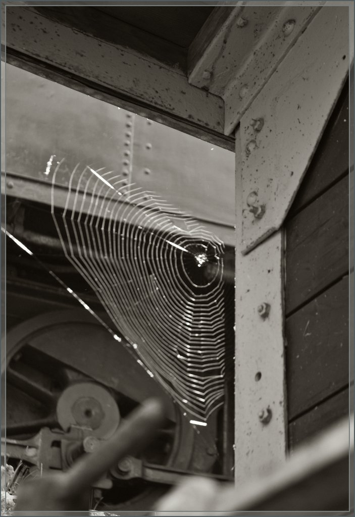  Leben  am Rande der Museumsbahn. 
B-C/Chaulin, den 27. Mai 2012