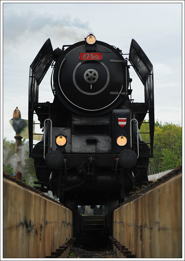 lechtična aus Brn beim Wassernehmen in Strasshof am 22.9.2012. 
