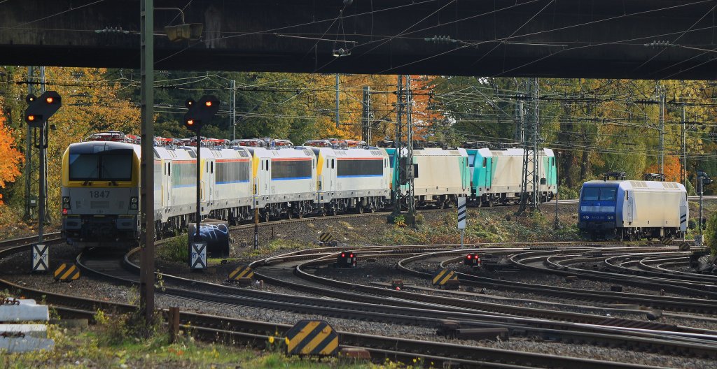 Leider nur ein Notschu�. Diesen Lokzug mit dem f�nf neue Siemens Euro-Sprinter (1847, 1841, 1840, 1853 und 1846) von zwei Cobras 186 200 (2808) und 186 229-1 (2837) nach Belgien �berf�hrt werden konnte ich leider nur als Nachschu� am 02.11.2011 in Aachen West ablichten. Der Lz f�hrt �ber die Rampe der Montzenroute zum Gemmenicher Tunnel hoch. Auf dem unteren Gleis steht 145-CL 203.