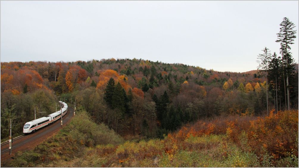 Letzter Herbst fr Fernzge auf der alten Weststrecke zwischen Wien und St.Plten - ICE 22 im Wienerwald zwischen Rekawinkel und Eichgraben
